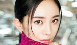 明星黑料合法吗 娱乐圈小说,明星黑料合法边界与道德拷问